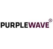 Purple Wave Infocom SME Logo